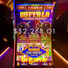 Bonus Features brgame